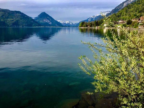 Privatzimmer Am Thunersee Διαμέρισμα Leissigen Εξωτερικό φωτογραφία